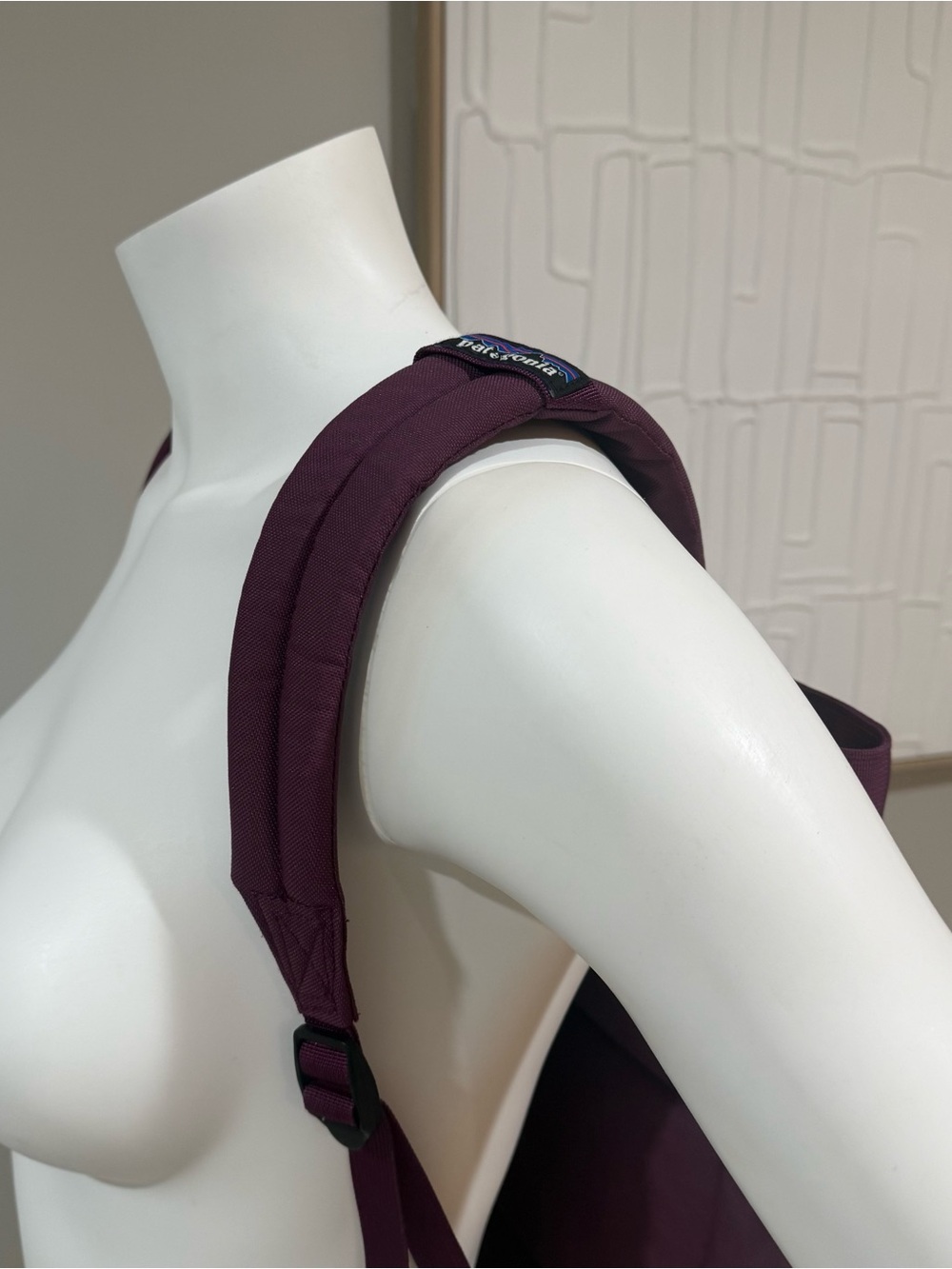 Patagonia Plum Purple Backpack with Teal Accents - Picture 4 of 5